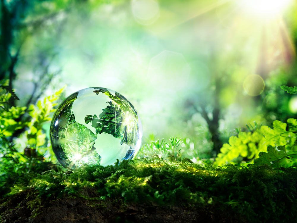 Pure Spheres Sustainability